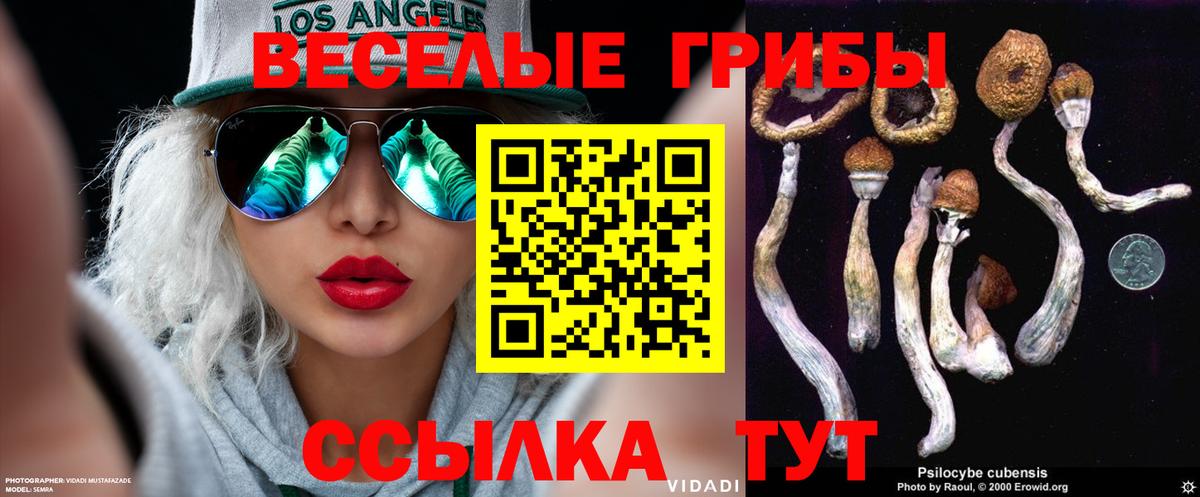 Галлюциногенные грибы Cubensis  Вход с VPN  Элиста 